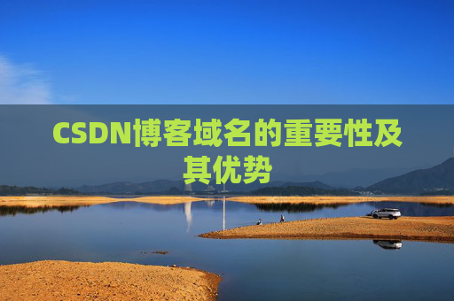 CSDN博客域名的重要性及其优势